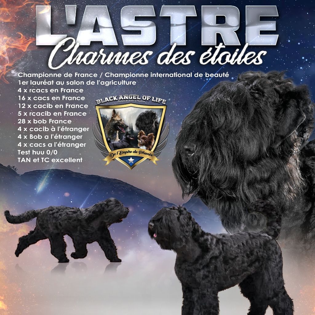 CH. L'astre Charme Des Etoiles