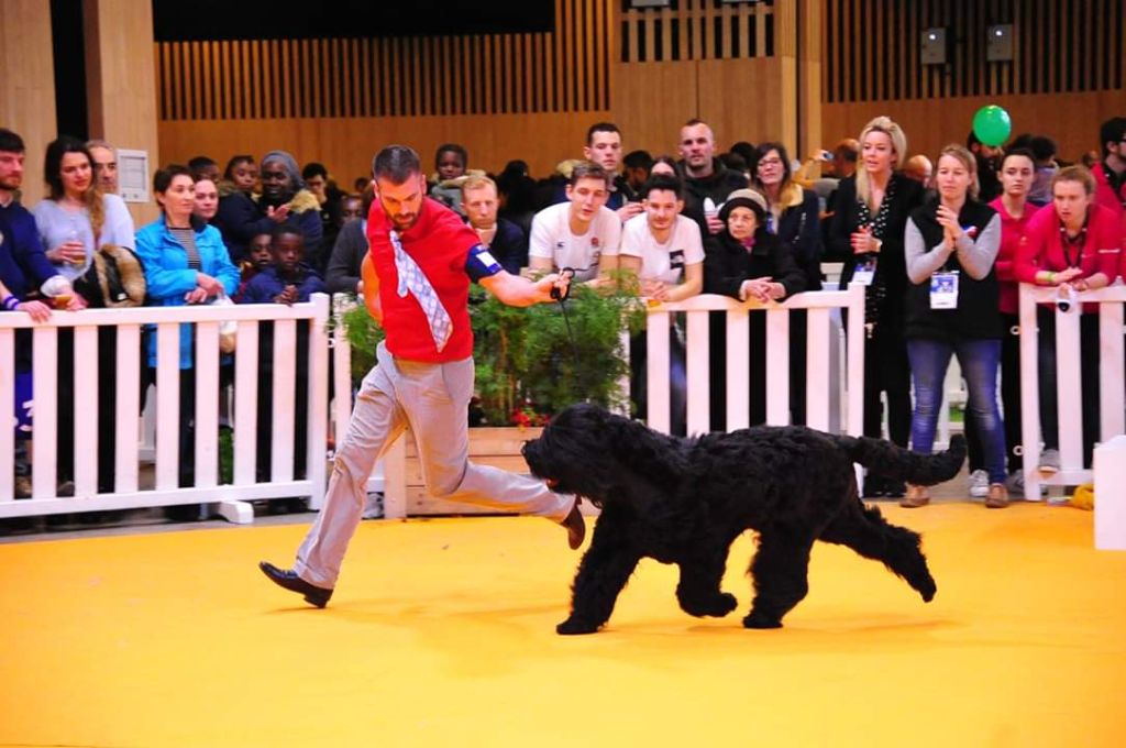 Black Of Angels Life - Concours Général Agricole 2019 