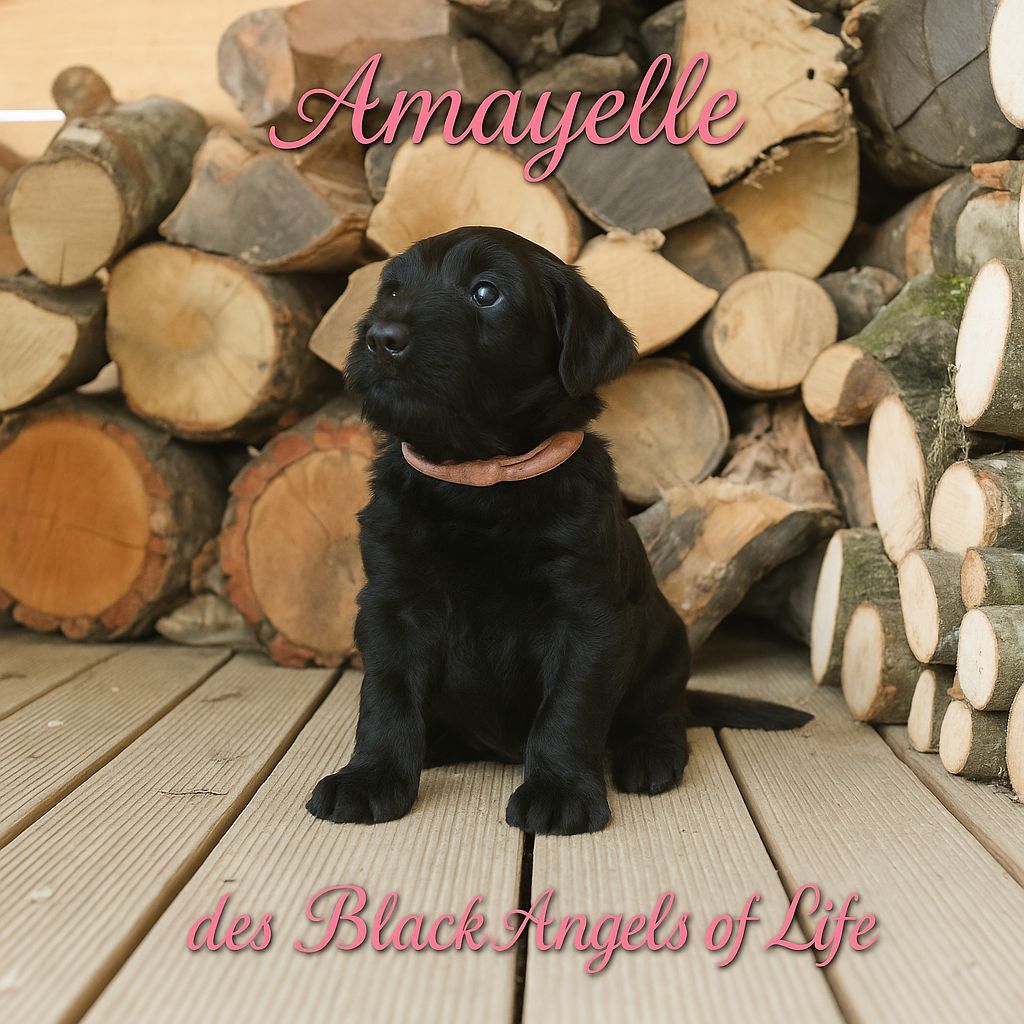 2 femelle de disponible 