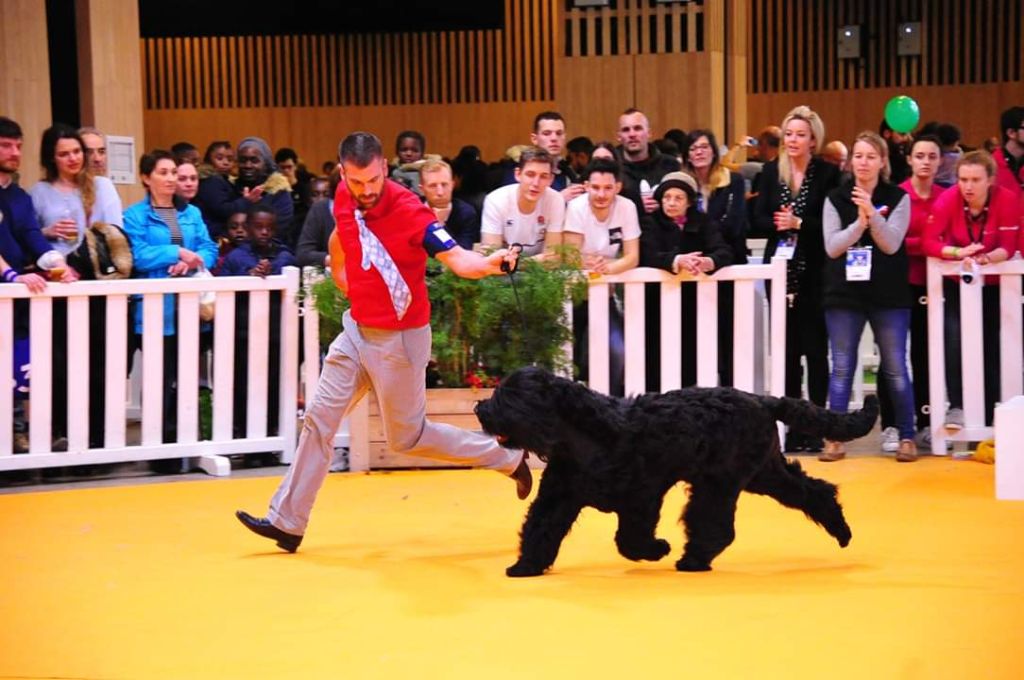 Black Of Angels Life - Concours Général Agricole 2019